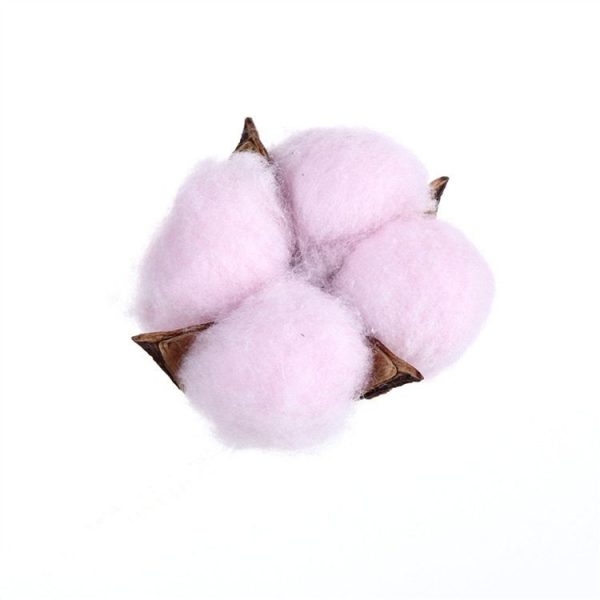 10 PCS Natural Cotton Balls Dry Flower Plants Party Birthday Hotel Courtyard Decoration (Light Pink) - Image 2