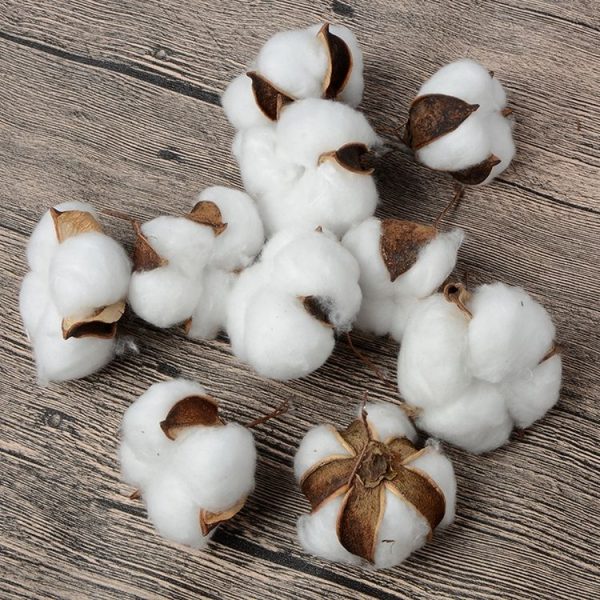 10 PCS Natural Cotton Balls Dry Flower Plants Party Birthday Hotel Courtyard Decoration (Light Pink) - Image 3