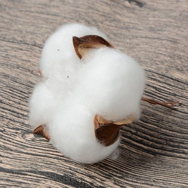 10 PCS Natural Cotton Balls Dry Flower Plants Party Birthday Hotel Courtyard Decoration (Light Pink) - Image 8