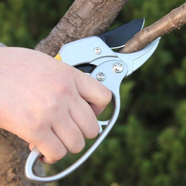 Labor-saving Hand Garden Gardening Shears Beak Manual Branch Pruning Shears - Image 6