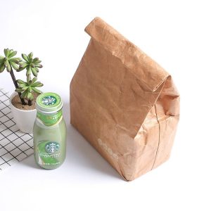 Outdoor Picnic Environmentally Friendly Degradable Kraft Paper Lunch Bag DuPont Paper Aluminum Film Lunch Box, Capacity: 6L / CL2013
