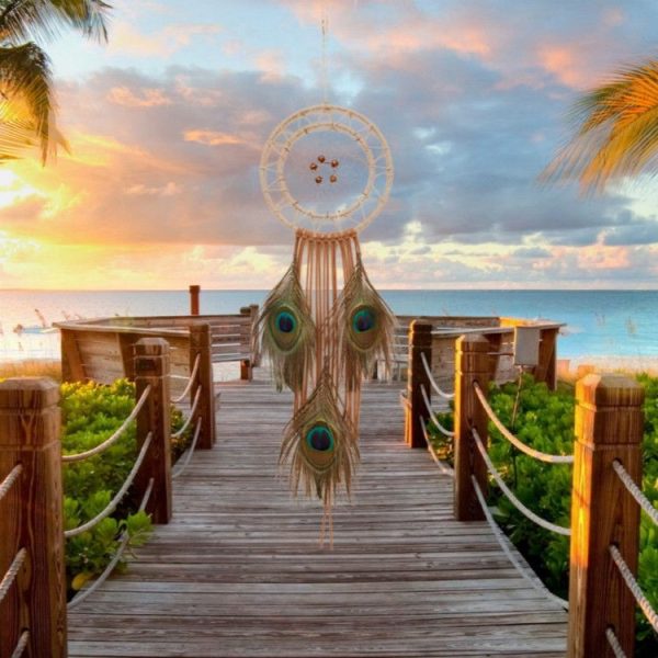 Creative Hand-woven Crafts Concentric Peacock Dream Catcher Home Car Wall Hanging Decoration - Image 3