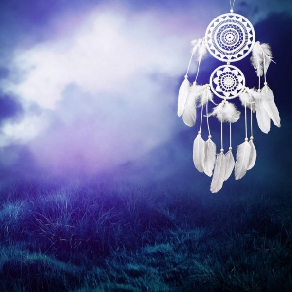 Double Ring Goose Feather Dream Catcher Home Crafts Ornaments - Image 2