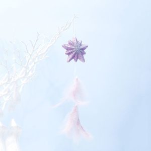 2 PCS Girl Powder Feather Bubble Pendant Creative Christmas Tree Decoration (Star)