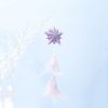 2 PCS Girl Powder Feather Bubble Pendant Creative Christmas Tree Decoration (Star) - Image 2