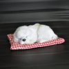 Simulation Will Call the Sleeping Dog Ornaments Toy Creative Doll Children Gift (White) - Image 2