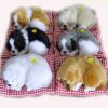 Simulation Will Call the Sleeping Dog Ornaments Toy Creative Doll Children Gift (White) - Image 3