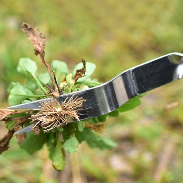 Thick Stainless Steel Weeder Wooden Handle Root Picking Tool - Image 5