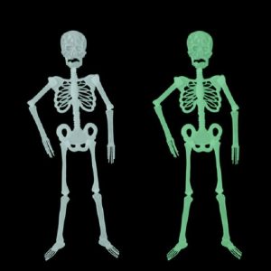 Luminous Skeleton Halloween Activity Props Bar Haunted House Decoration Supplies Fluorescent Skeleton, Size: Large (150cm)
