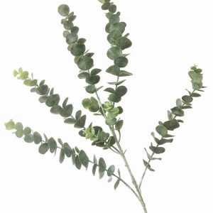 Simulation Plant Eucalyptus Single Money Leaf Interior Decoration Flower Arrangement Wedding Decoration