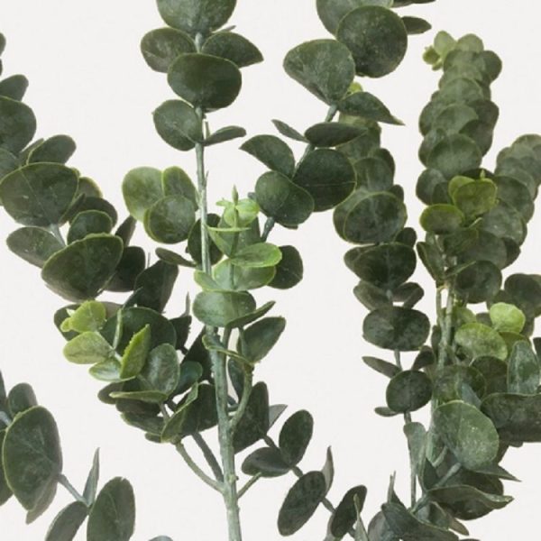 Simulation Plant Eucalyptus Single Money Leaf Interior Decoration Flower Arrangement Wedding Decoration - Image 2