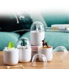 Creative Animal Plant Shape Toothpick Cotton Swab Storage Box Pine Tree - Image 6