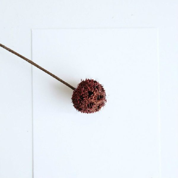 3 PCS Festival Universal Pinecone Flower Dried Flower Decoration Home Literary Table Flower (Dark Red) - Image 2