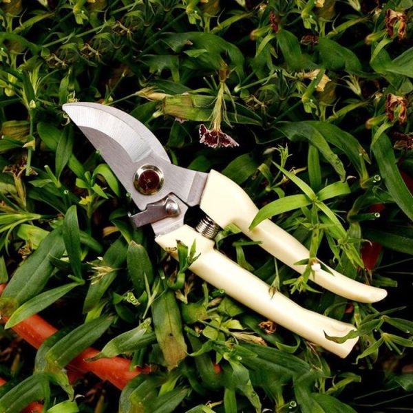 Garden Tools Stainless Steel Pruning Shears Fruit Tree Scissors Garden Branch Shears (Elbow) - Image 2