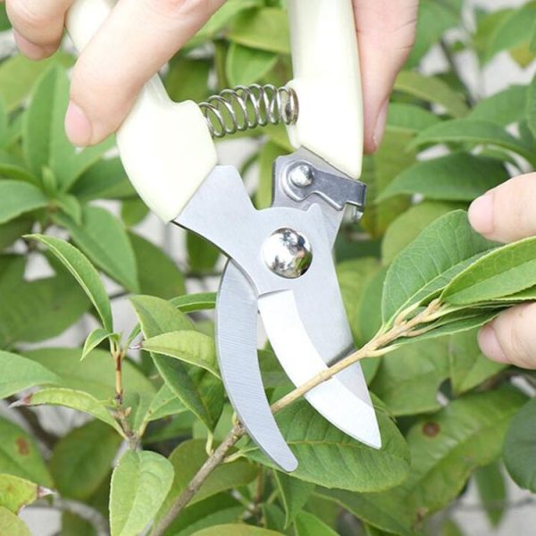 Garden Tools Stainless Steel Pruning Shears Fruit Tree Scissors Garden Branch Shears (Elbow) - Image 5