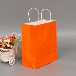 10 PCS Elegant Kraft Paper Bag With Handles for Wedding / Birthday Party / Jewelry / Clothes, Size: 16x22x8cm (Orange)