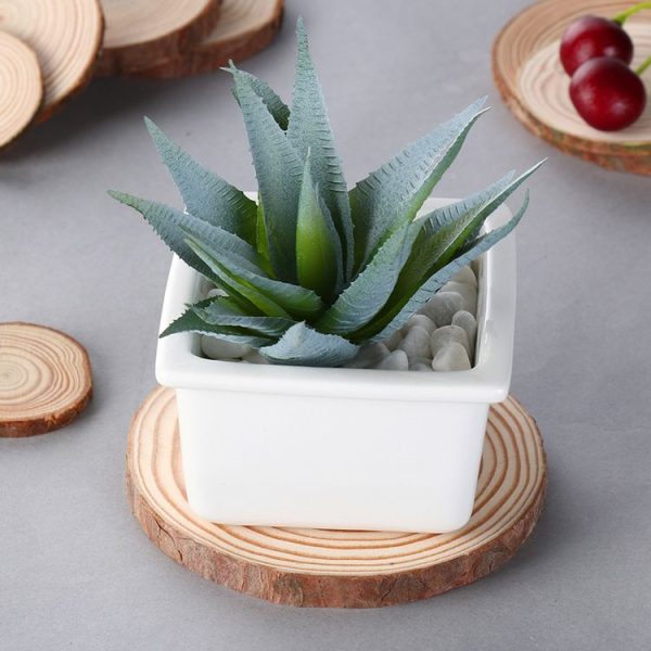 Aromatherapy Candle Round with Skin Pine Coaster Natural Wood Chips Small 8-10cm - Image 4