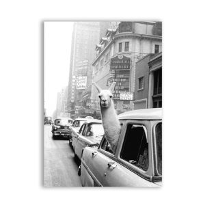 Modern Art Personality Poster Vintage Canvas Painting Wall Art Decoration Without Frame, Size: 13x18cm (Alpaca In Car)