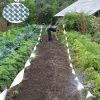 2.4 x 100m Double-sided Reflective Bird Repeller Ribbon Bird Chaser Garden Tool (Laser Frid) - Image 6