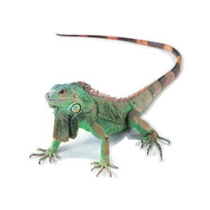 Creative Personality Scratch Cover Car Body Sticker (Lizard)