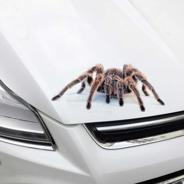 Creative Personality Scratch Cover Car Body Sticker (Lizard) - Image 5