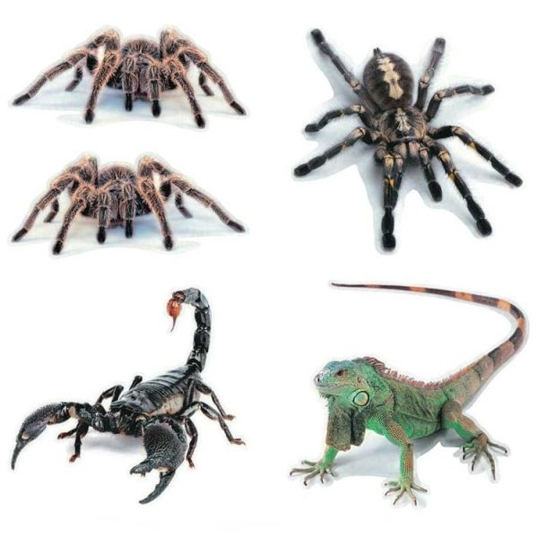 Creative Personality Scratch Cover Car Body Sticker (Lizard) - Image 6