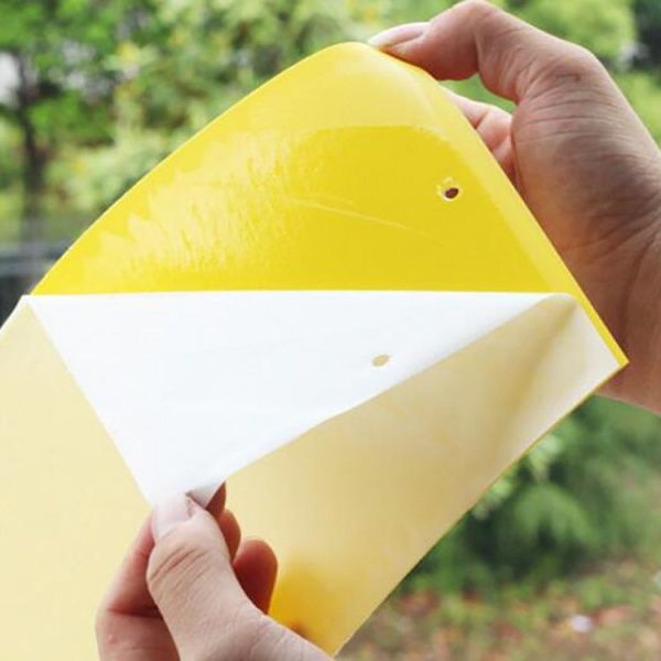 Double-sided Stick Insect Board Yellow Board Melon Fruit Fly Trap Board - Image 4