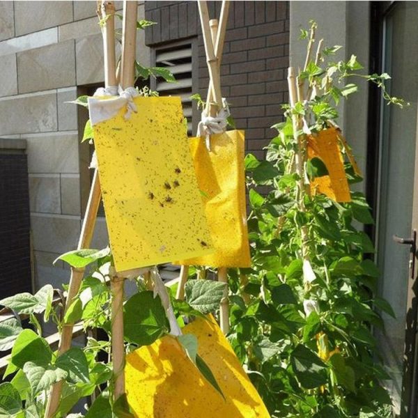 Double-sided Stick Insect Board Yellow Board Melon Fruit Fly Trap Board - Image 6