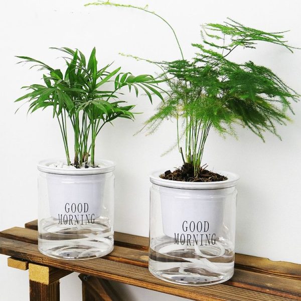 Automatic Water Absorption Hydroponic Pot Succulent Plant Flower Pot, Style: Transparent Without Words - Image 5