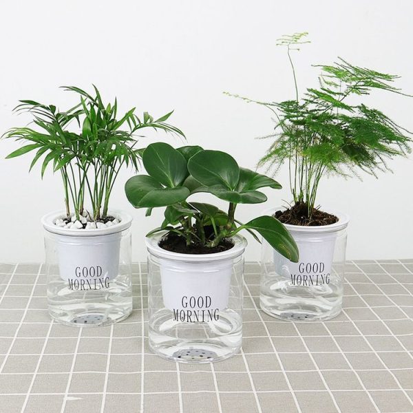 Automatic Water Absorption Hydroponic Pot Succulent Plant Flower Pot, Style: Transparent Without Words - Image 6
