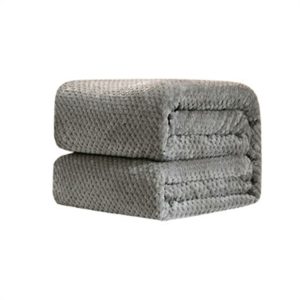 Thicken Solid Color Mesh Pineapple Flannel Blanket Coral Fleece Air Conditioning Sofa Cover Winter Warm Sheets Easy Wash Faux Fur Blankets, Size: 70x100cm (Grey)