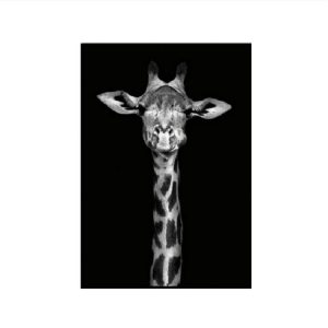 Simple Black and White Animal Decoration Painting Study Living Room Sofa Background Wall Painting Without Frame, Size: 20X25cm (Giraffe)