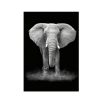 Simple Black and White Animal Decoration Painting Study Living Room Sofa Background Wall Painting Without Frame, Size: 21X30cm (Elephant)