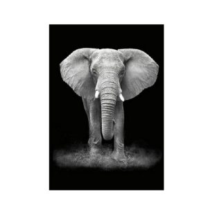 Simple Black and White Animal Decoration Painting Study Living Room Sofa Background Wall Painting Without Frame, Size: 21X30cm (Elephant)