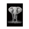 Simple Black and White Animal Decoration Painting Study Living Room Sofa Background Wall Painting Without Frame, Size: 21X30cm (Elephant) - Image 2