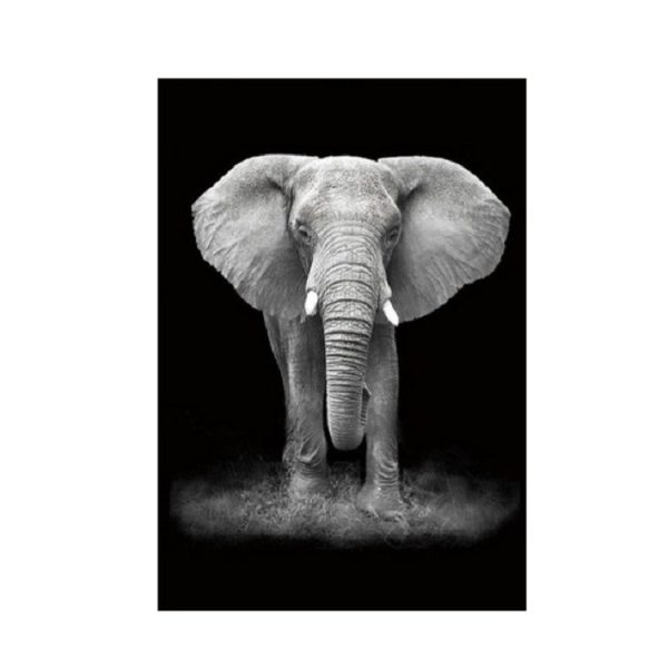 Simple Black and White Animal Decoration Painting Study Living Room Sofa Background Wall Painting Without Frame, Size: 21X30cm (Elephant) - Image 2