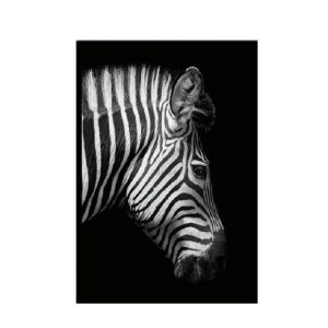 Simple Black and White Animal Decoration Painting Study Living Room Sofa Background Wall Painting Without Frame, Size: 30X40cm (Zebra Head)