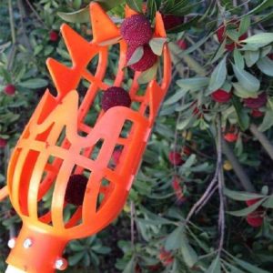 Plum Date Apricot Pick Fruit Plastic Tool (Orange)