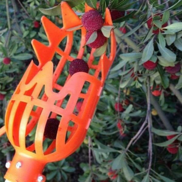 Plum Date Apricot Pick Fruit Plastic Tool (Orange) - Image 2