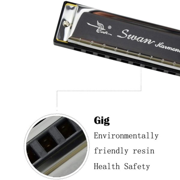 Swan 10 Holes Full-scale Bruce Harmonica Beginner Children Adult Students Playing Musical Instruments - Image 3
