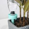 12 PCS Automatic Flower Watering Device Dripper Seepage Device, Color Random Delivery - Image 4