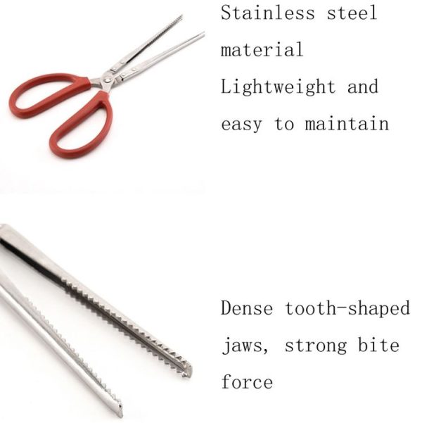 Crab Tongs Loach Tongs Sea Tool, Model: 53cm Curved Clip - Image 5