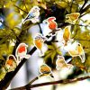 2 PCS Robin Sticker Sticker Handbook Album Item Decoration Sealing Sticker