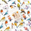 2 PCS Robin Sticker Sticker Handbook Album Item Decoration Sealing Sticker - Image 2