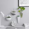 4 In1 Wall-Mounted Flower Pots Lazy Plastic Flower Pots On The Wall - Image 2