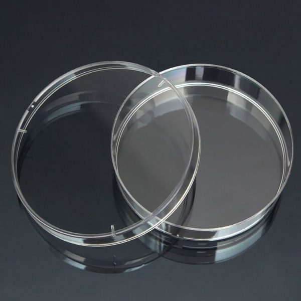 10 PCS Polystyrene Sterile Petri Dishes Bacteria Dish Laboratory Biological Scientific Lab Supplies, Size: 60mm - Image 2