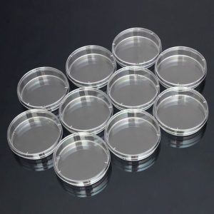 10 PCS Polystyrene Sterile Petri Dishes Bacteria Dish Laboratory Biological Scientific Lab Supplies, Size: 90mm
