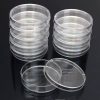 10 PCS Polystyrene Sterile Petri Dishes Bacteria Dish Laboratory Biological Scientific Lab Supplies, Size: 90mm - Image 3