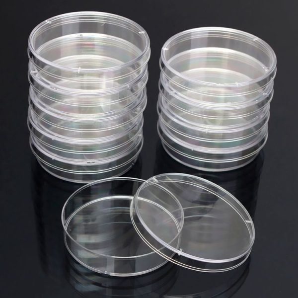 10 PCS Polystyrene Sterile Petri Dishes Bacteria Dish Laboratory Biological Scientific Lab Supplies, Size: 150mm - Image 3