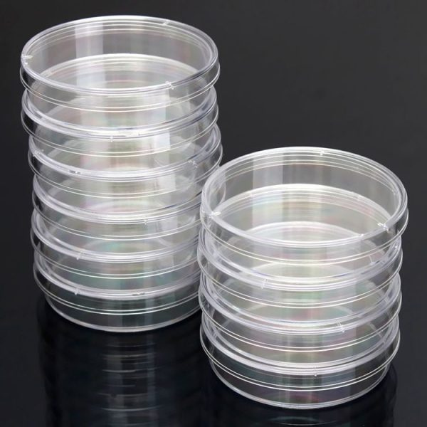 10 PCS Polystyrene Sterile Petri Dishes Bacteria Dish Laboratory Biological Scientific Lab Supplies, Size: 150mm - Image 4